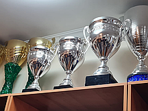 Кубки Чаши для награждения на заказ