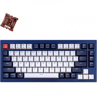 Keychron Blue Knob Brown Switch RGB Hot-Swap Gateron G pro Mechanical клавиатура (Q1O3_Keychron)