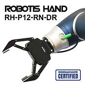 Роботизированная рука RH-P12-RN-DR