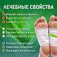 Пластырь для детоксикации Kinoki (Foot Patch), фото 2