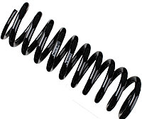 Пружина задняя 124