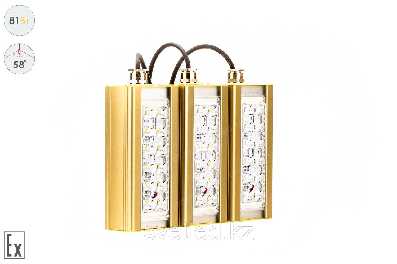 Прожектор Взрывозащищенный GOLD, консоль K-3, 81 Вт, 58°