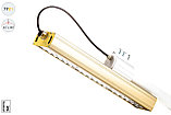 Магистраль Взрывозащищенная GOLD, консоль K-1, 79 Вт, 45X140°, светодиодный светильник, фото 4
