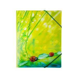 Папка на резинке Ladybird, А4, 550 мкм, фото 2