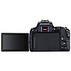 Фотоаппарат Canon EOS 250D Kit EF-S 18-55mm f/4-5.6 IS STM (гарантия 2 года), фото 2