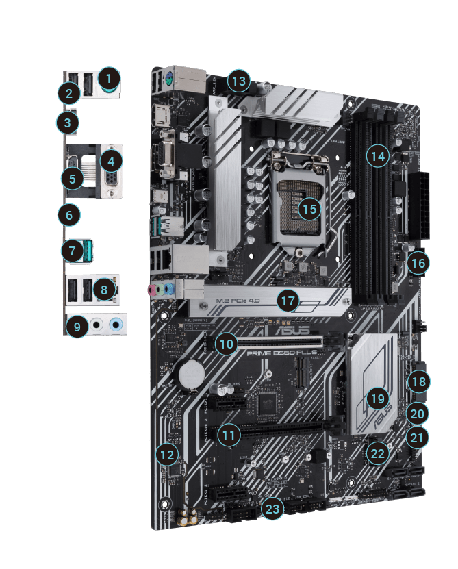 Asus prime b650 plus процессоры. Asus prime b560-plus. asus prime b560m-a. prime b560-plus.
