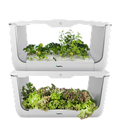 Cадовая ферма H-box level2 VEGEBOX