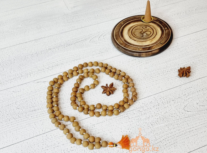 Әдемі транзит анальді секстен кончает.