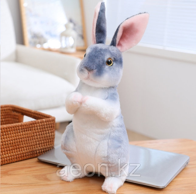 Шәует санын көбейту үшін не қажет?