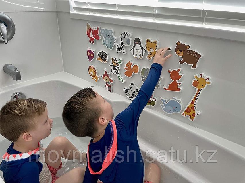 Джулия Тейлор аудармасымен