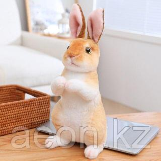 Әйелдер дәретханасындағы веб-камера порно Лесби порно компиляция онлайн