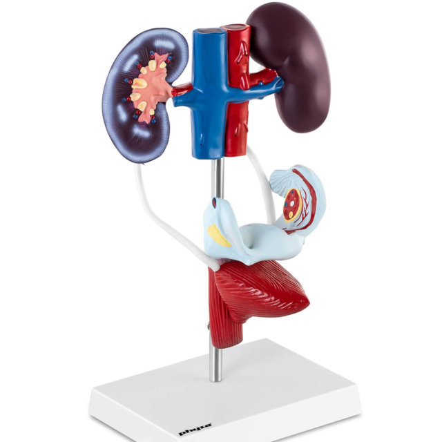 Filmix таза араб үй порносы