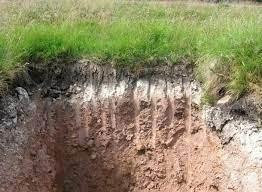 Естественное обогащение почвы "дерновой процесс".