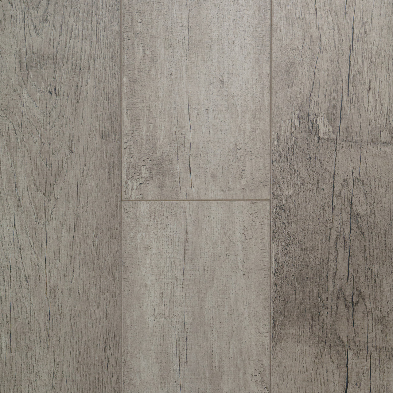 Дуб Либерика, фото 1