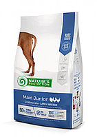 NP Maxi Junior Poultry для молодых собак крупных пород с мясом птицы, 12кг