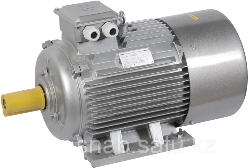 Электродвигатель асинхронный трехфазный АИР 250M2 660В 90кВт 3000об/мин 1081 DRIVE IEK - фото 1 - id-p106349644