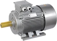 Электродвигатель асинхронный трехфазный АИР 280M6 660В 90кВт 1000об/мин 1081 DRIVE IEK