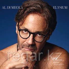 inakustik inakustik Виниловая пластинка Meola,Al Di: Elysium (2 LP) EAN:0707787914116