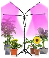 Светильник для растений 4 фитолампы, на штативе, с таймером и диммером