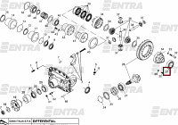 005.10.3365 подшипник