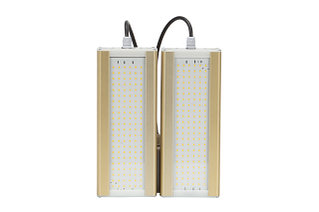 Светодиодные светильники Модуль GOLD