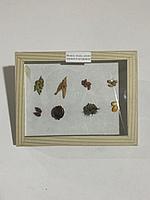 Ер адам еркекпен жыныстық қатынасқа түседі Ретро жетілген лесбиянки