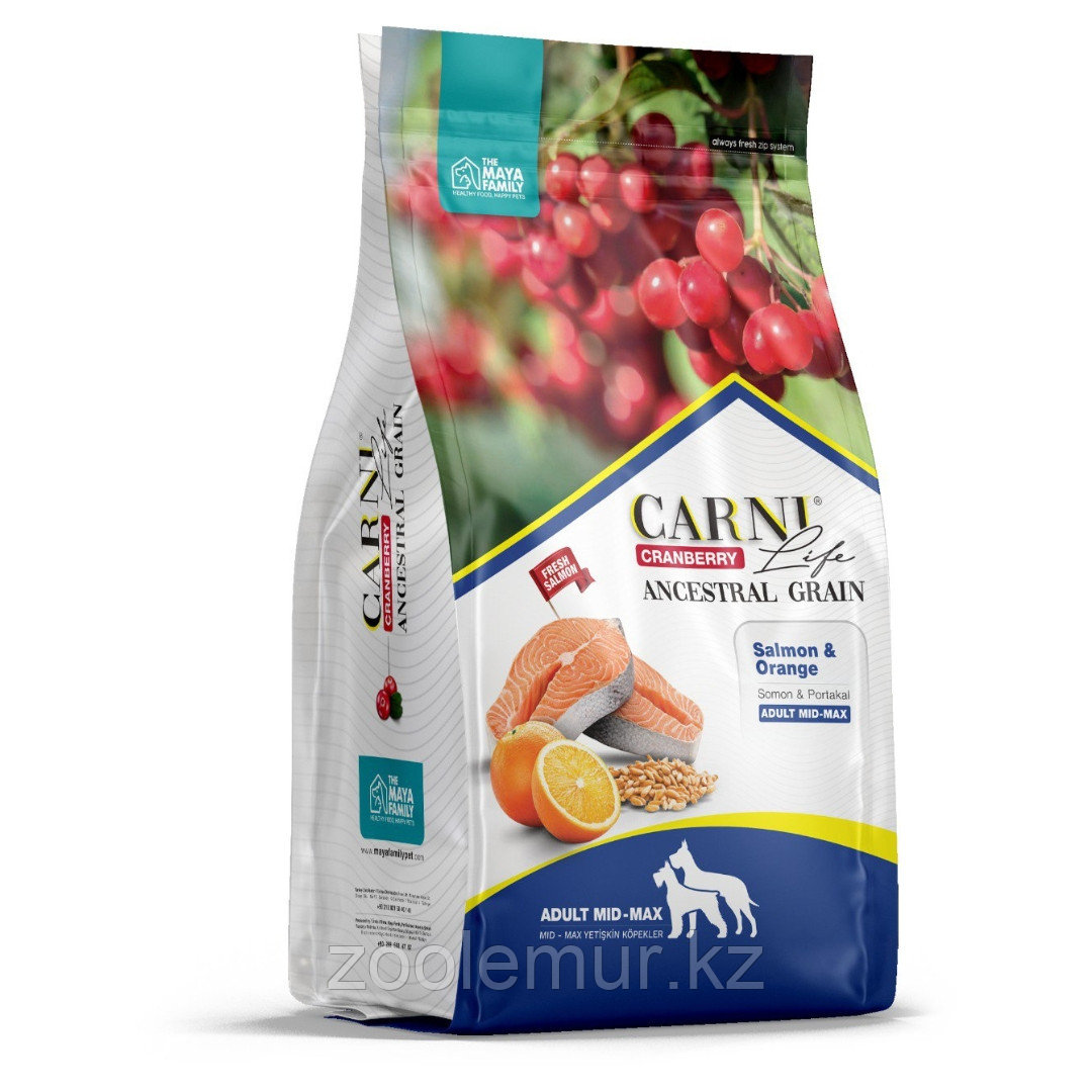CARNI LIFE Medium Maxi Корм для собак средних и крупных пород с лососем, с апельсином и клюквой, 2.5 кг