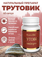 Натуральный грибной препарат Грибная аптека трутовик для лечения заболеваний ЖКТ, 60 капсул