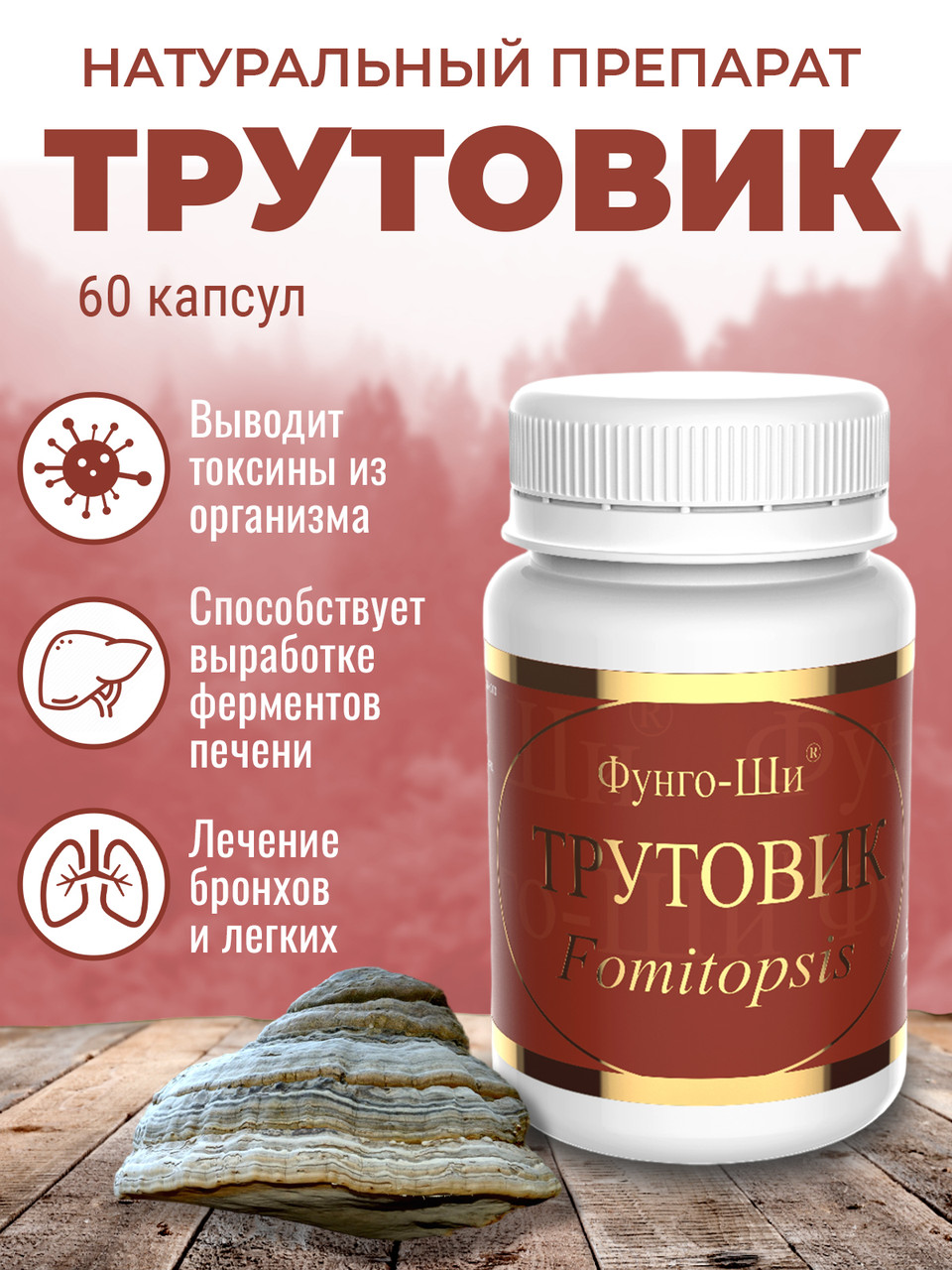 Натуральный грибной препарат Грибная аптека трутовик для лечения заболеваний ЖКТ, 60 капсул - фото 2 - id-p105237539