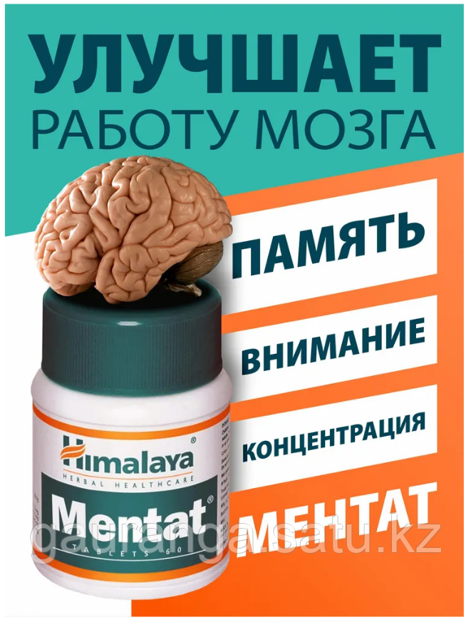 Ментат Хималая / Mentat Himalaya 60 таб - для улучшения обучаемости, для памяти и мозга - фото 2 - id-p106424309