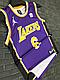 Баскетбольная Майка (Джерси) Los Angeles Lakers - LeBron James, фото 2
