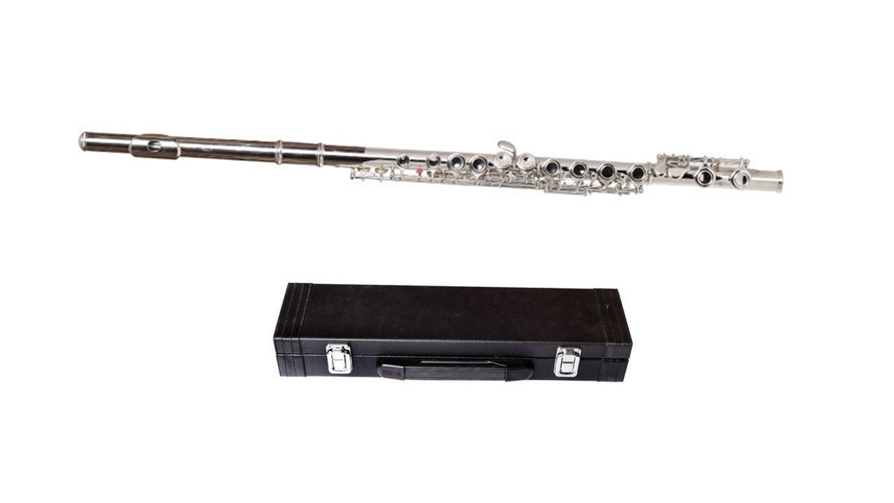 Флейта Kaysen GSW-08 с футляром