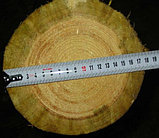 Деревянные опоры ЛЭП, деревянные столбы для линий электропередач (ЛЭП) и связи, фото 2