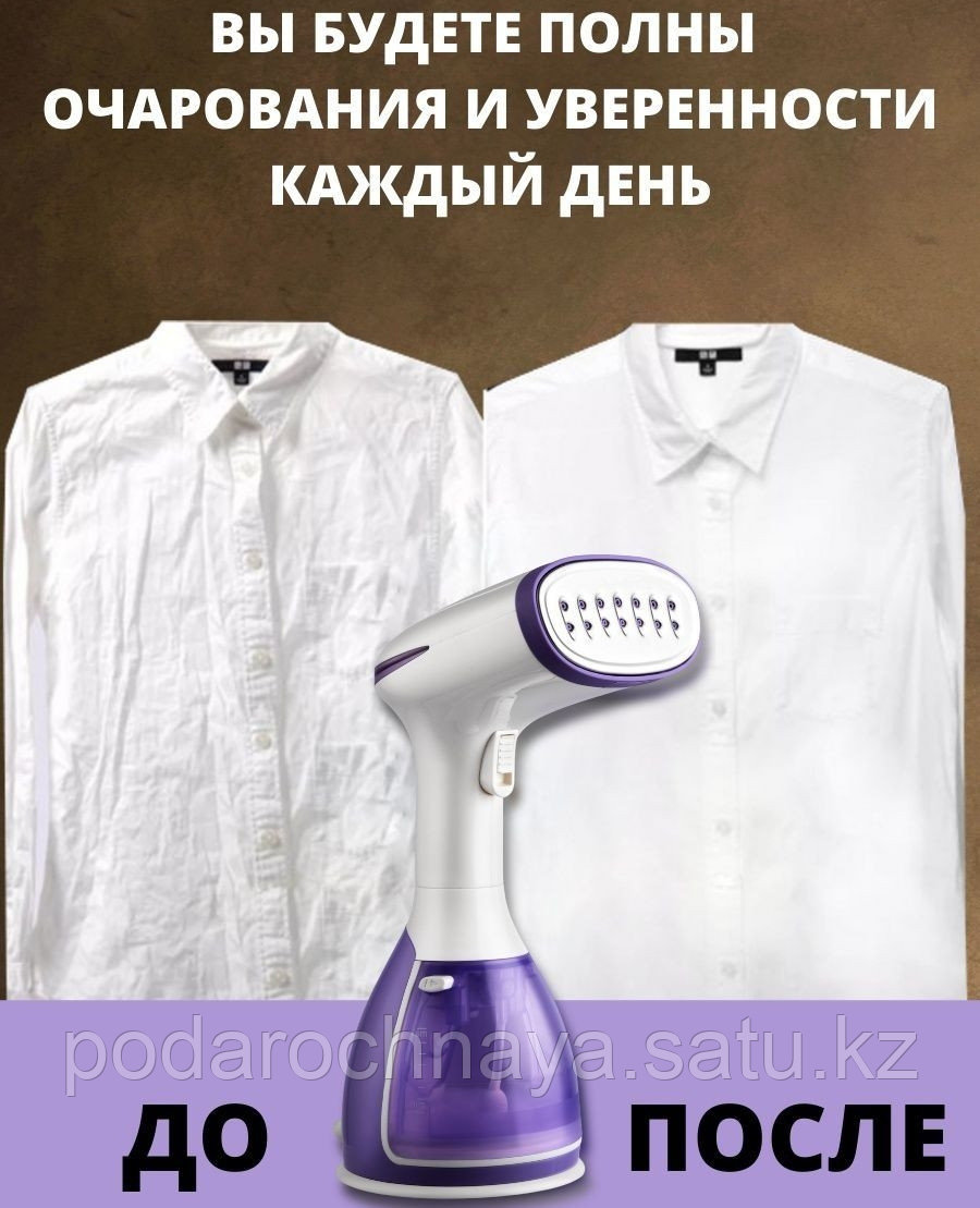 Отпариватель Ручной Reg Rhs 680 Купить
