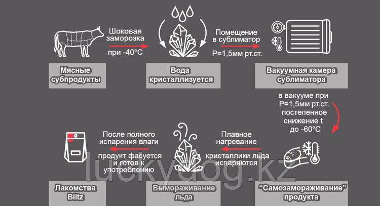 BLITZ 43г «ВЫМЯ ГОВЯЖЬЕ» сублимированное лакомство для собак - фото 2 - id-p106462840