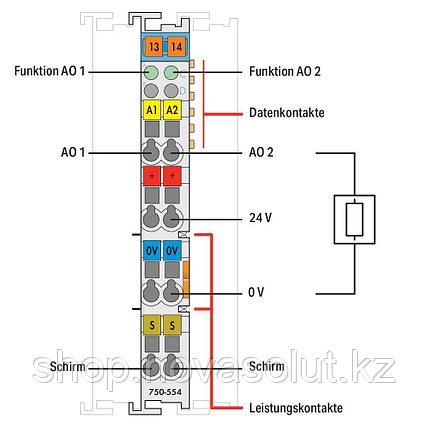 2-канальный аналоговый выход; 4 … 20 мА WAGO 750-554, фото 2
