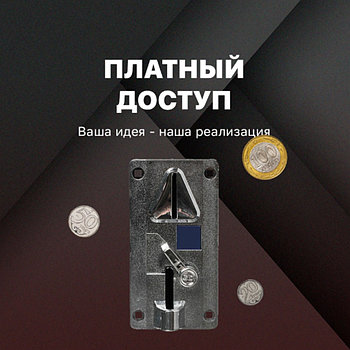 Ақылы қолжетімділік