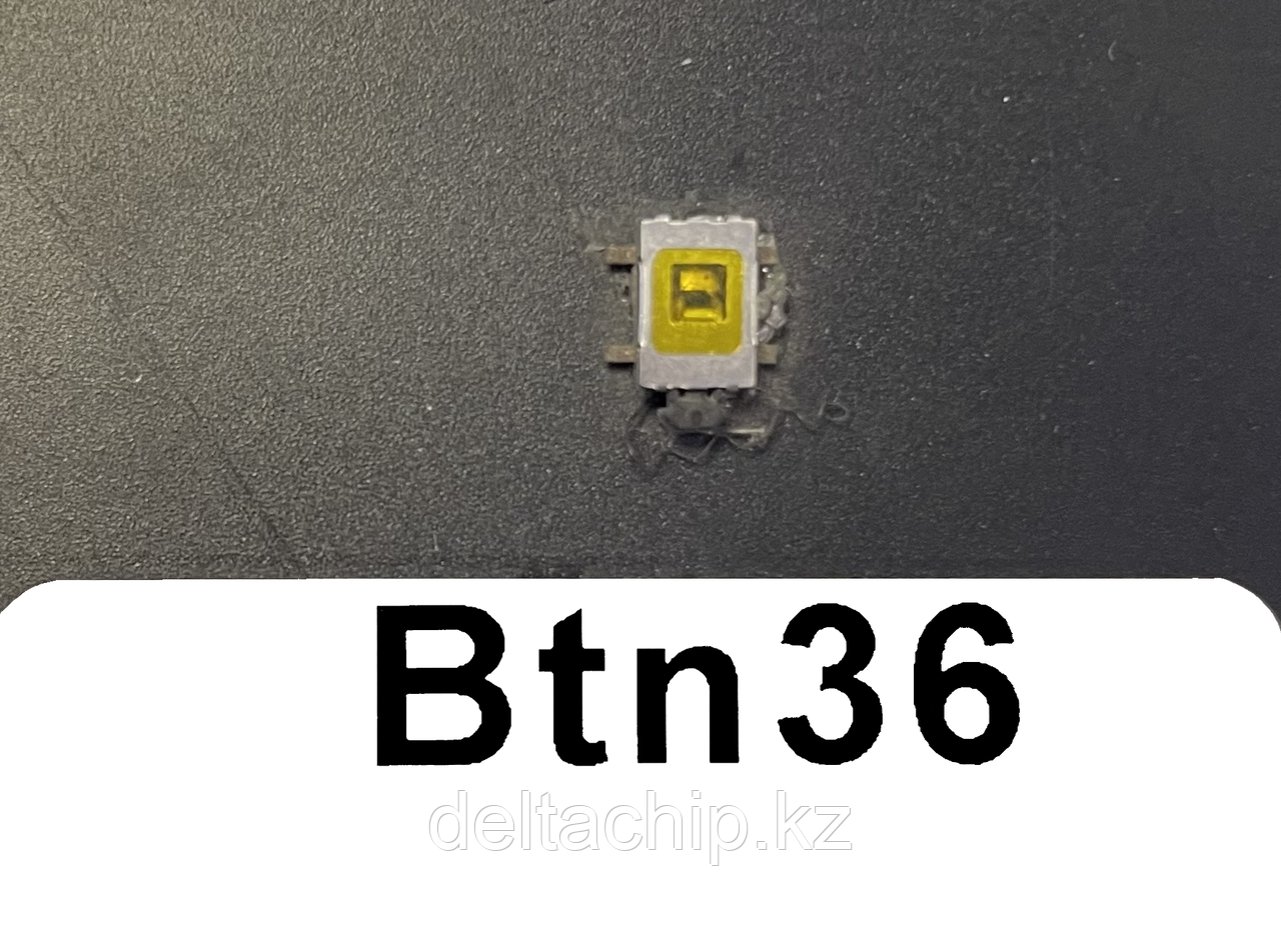 Btn36   кнопка тактовая