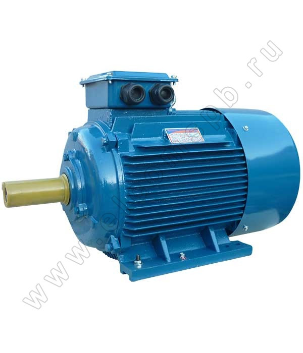 Электродвигатель АИР (5АИ) 200 L6 1001 (30 кВт/1000 об.мин) - фото 1 - id-p106480295