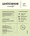 Мононабор Шиповник (Дед Алтай), фото 3