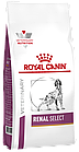 Royal Canin Renal Select Canine, Роял Канин диета при хронической почечной недостаточности собак, уп. 10кг.