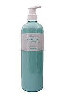 Шамунь для волос УВЛАЖНЕНИЕ Recharge Solution Blue Clinic Nutrient Shampoo,, 480 мл EVAS