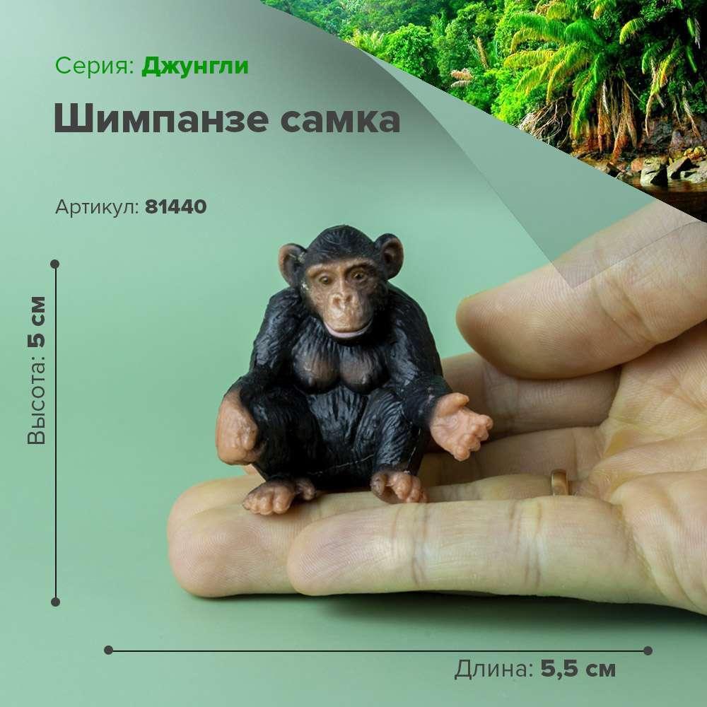 Derri Animals Фигурка Шимпанзе самка, 5 см. 81440