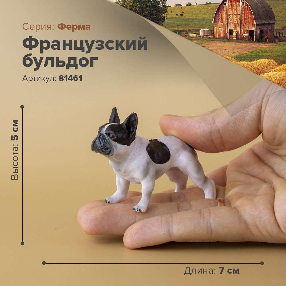 Derri Animals Фигурка Французский бульдог, 8 см. 81461