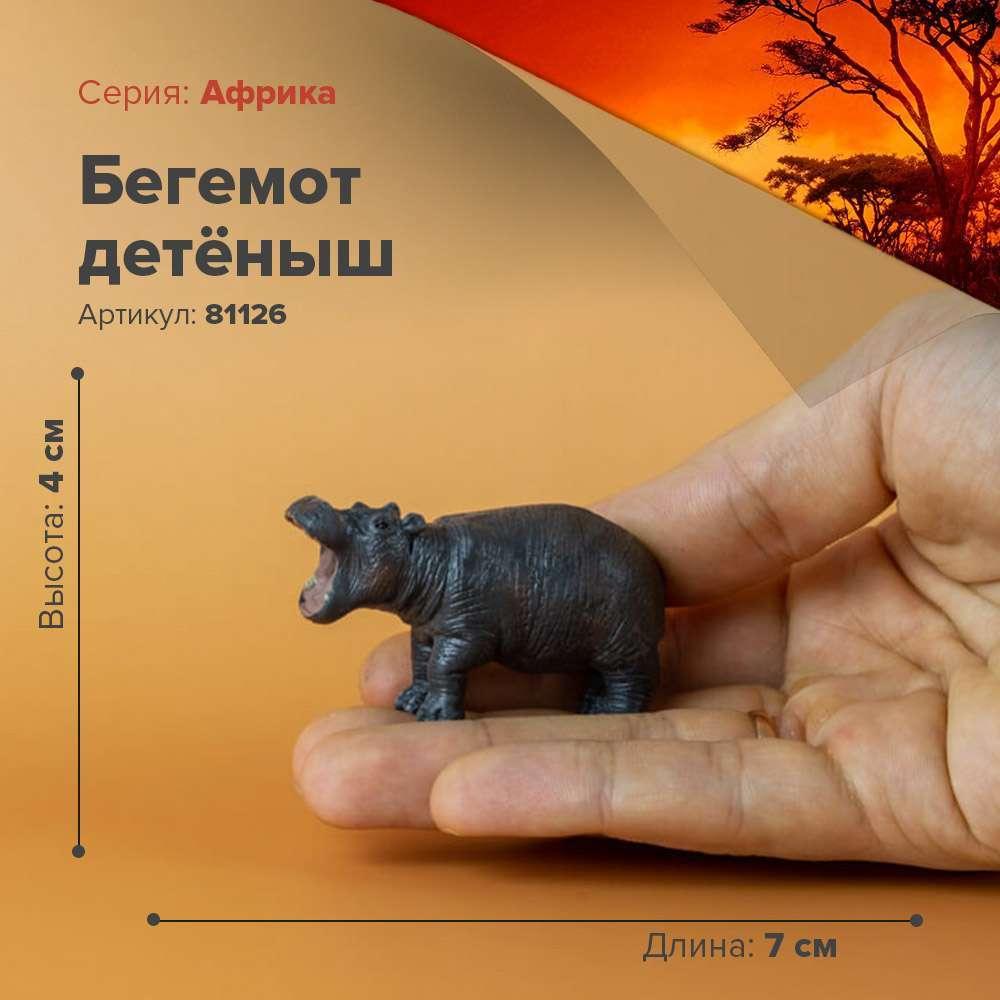 Derri Animals Фигурка Бегемот детёныш, 6 см. 81126, фото 1