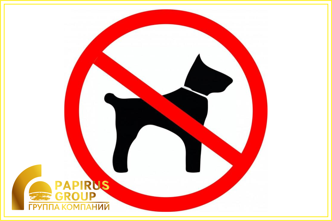 Наклейка "Вход с собаками запрещен" (100х100мм).