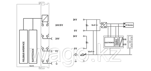 Каплер полевой шины PROFINET IO; 3-е поколение; Передовой WAGO 750-375, фото 2