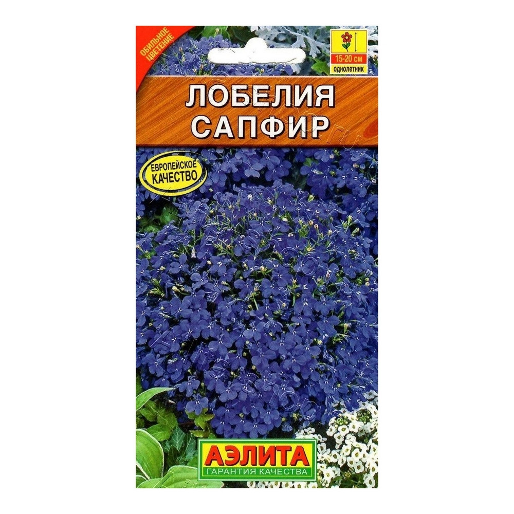Лобелия ампельная сапфир