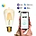 Лампа Gauss Smart Home Filament ST64 6,5W 720lm 2000-5500К E27 изм.цвет.темпр.+дим. LED 1/10/40, фото 3