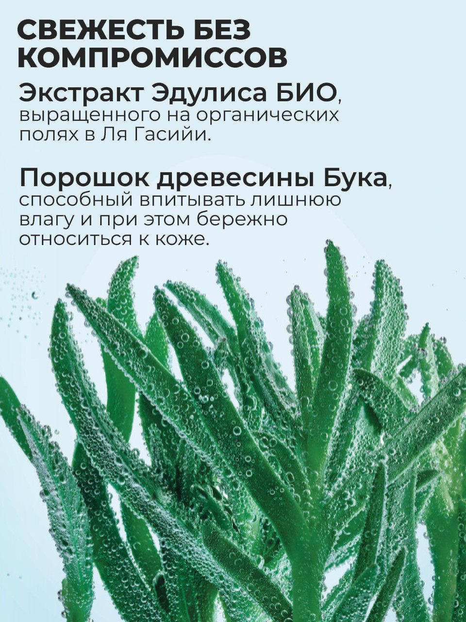 Дезодорант «Свежесть» с Эдулисом БИО, 50 мл - фото 2 - id-p101765191